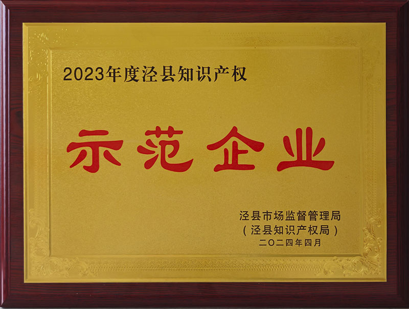 2023年度涇縣知識產(chǎn)權示范企業(yè)